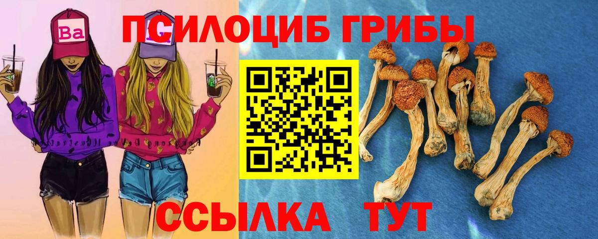 Галлюциногенные грибы прущие грибы  Вход с VPN  Стрежевой 